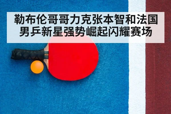 table tennis racket